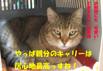 f0008935_12293274.gif