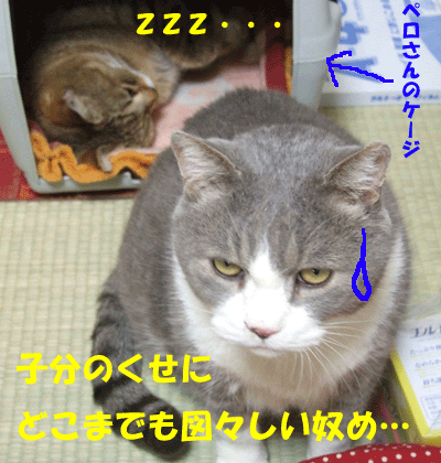 f0008935_12302619.gif