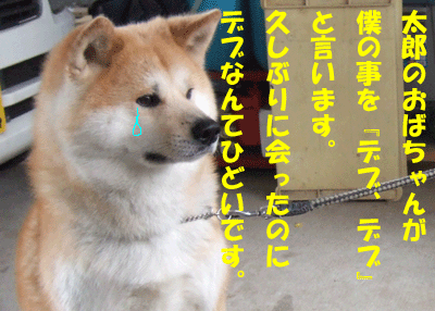 f0008935_1334074.gif