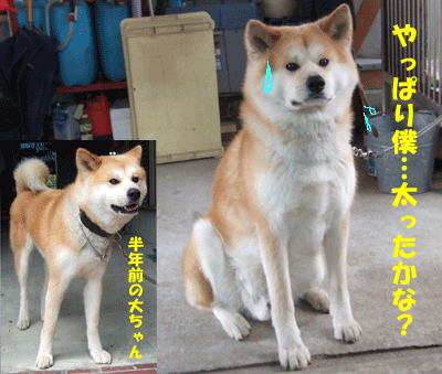 f0008935_1335699.gif
