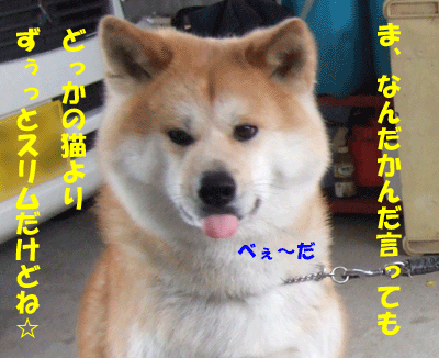 f0008935_1341388.gif