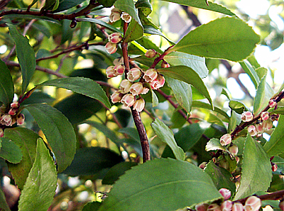 a0101536_1945491.jpg