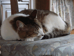 c0136736_1847471.gif
