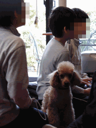 c0136736_18505162.gif