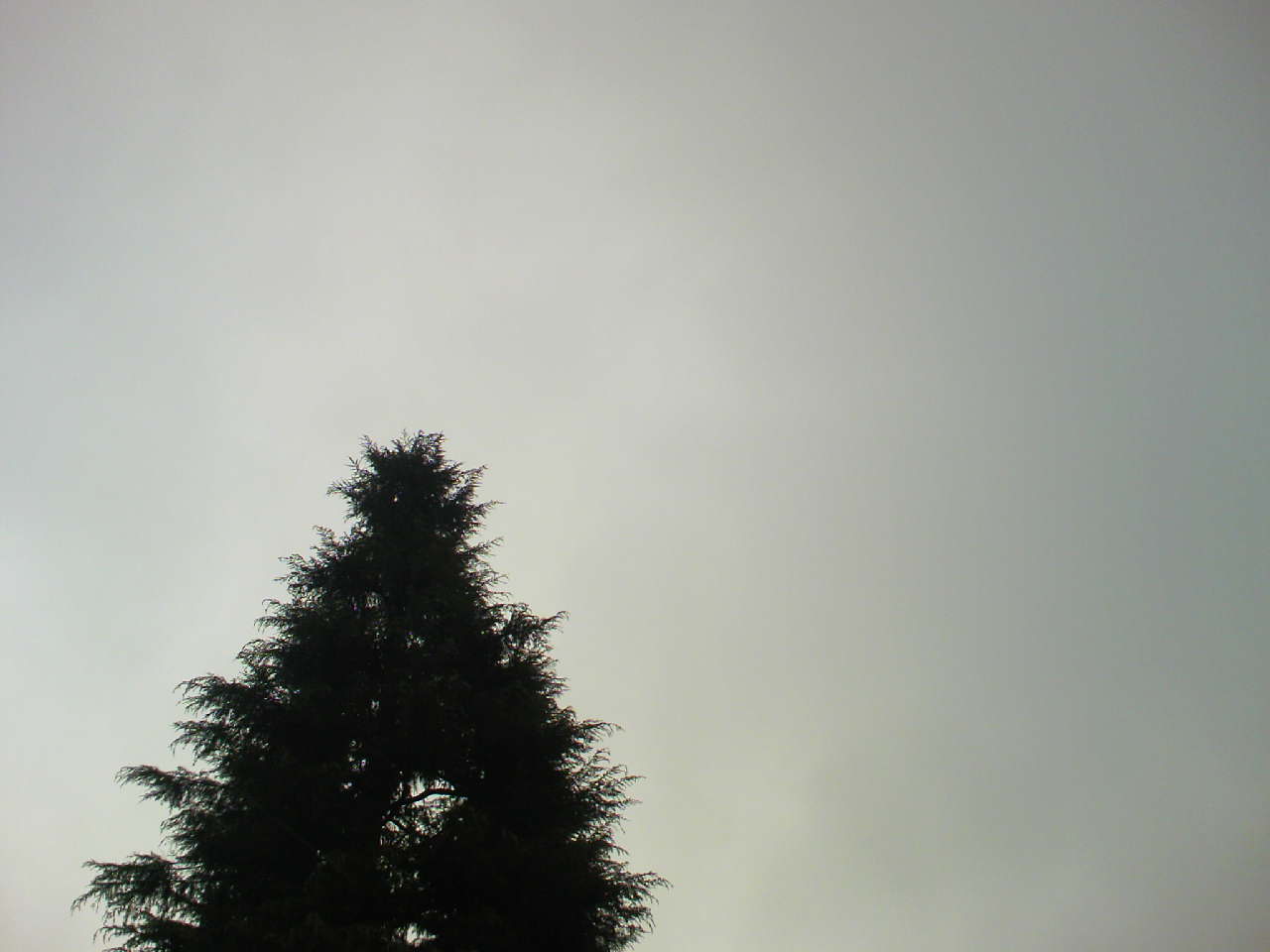 c0125637_8155568.jpg