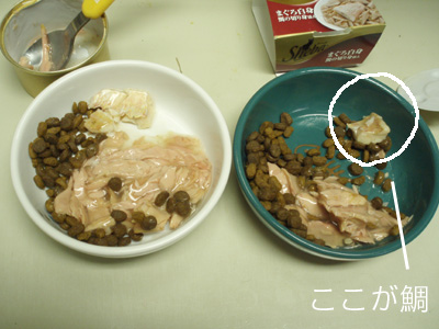 c0132438_22214218.jpg