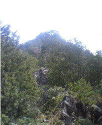 d0107938_22563831.jpg