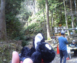 d0107938_23182891.jpg