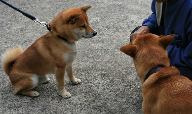 a0054948_06836.jpg