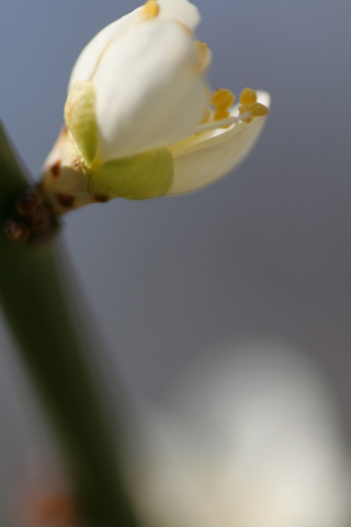 a0024250_038415.jpg