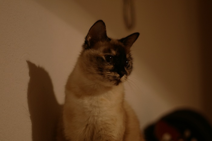 e0100152_3341122.jpg