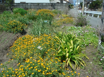 c0108460_2238451.jpg