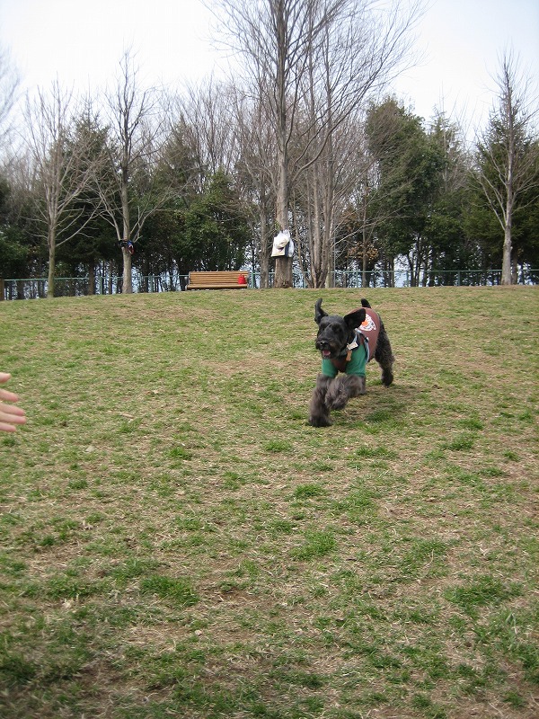 a0104569_1953121.jpg