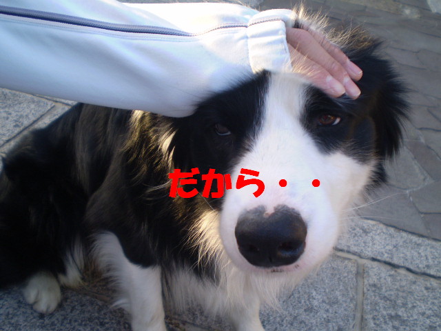 e0117976_23251840.jpg