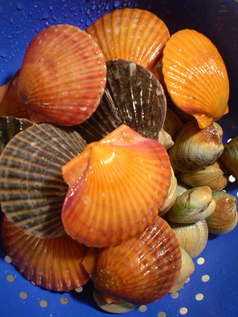 f0056476_728997.jpg