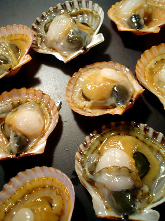 f0056476_7304412.jpg