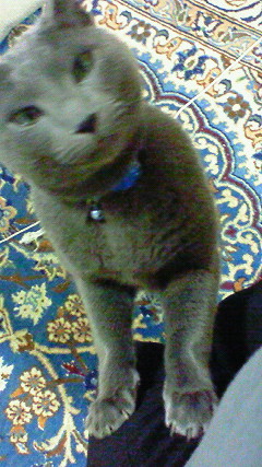 f0116278_23144858.jpg