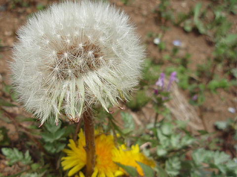 a0079880_10314497.jpg