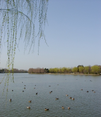 a0091680_1171596.jpg