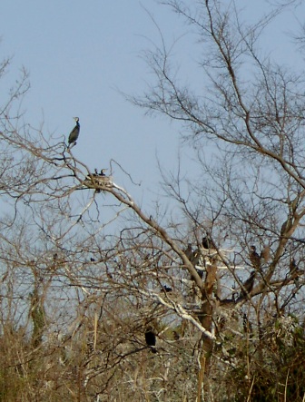 a0091680_1182490.jpg