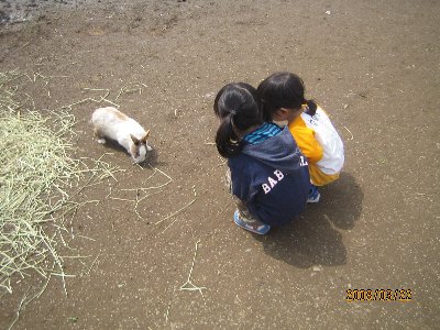 f0046385_1742507.jpg