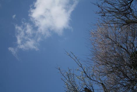 e0100589_10334682.jpg