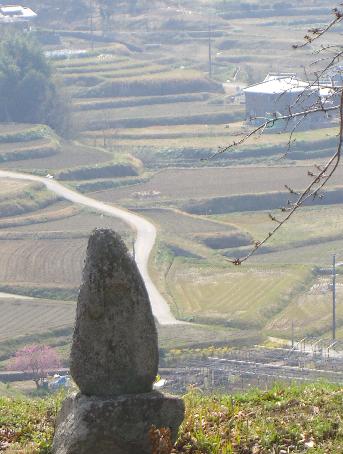 e0077899_9151976.jpg