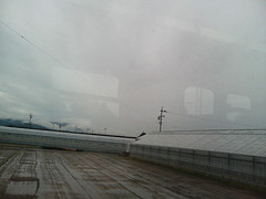 a0104905_1485635.jpg