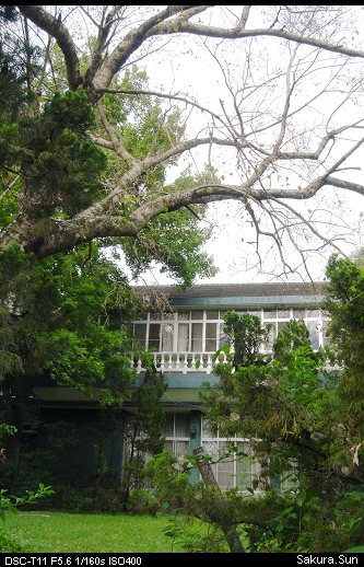 b0111106_22591452.jpg