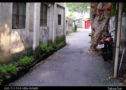 b0111106_2392156.jpg