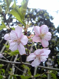 b0125808_17571683.jpg