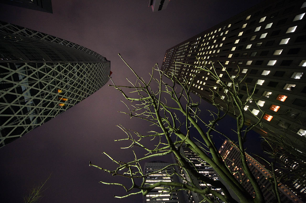 c0108409_2258144.jpg