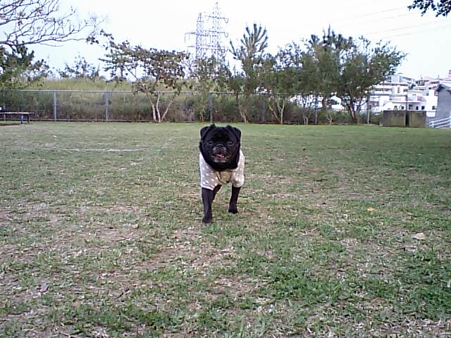 a0074110_18503210.jpg