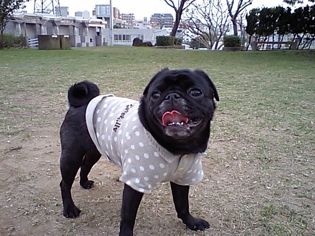 a0074110_18503250.jpg