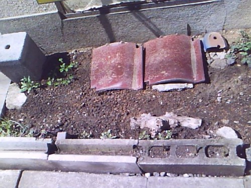 c0128710_1746641.jpg