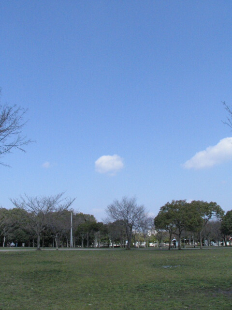 b0118511_23402661.jpg