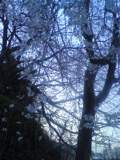 c0140616_21411570.jpg
