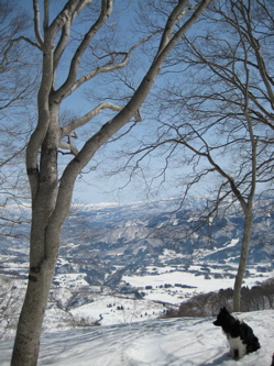 e0060517_22191940.jpg