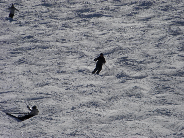 e0067218_8475981.jpg