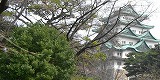 e0135619_22334613.jpg