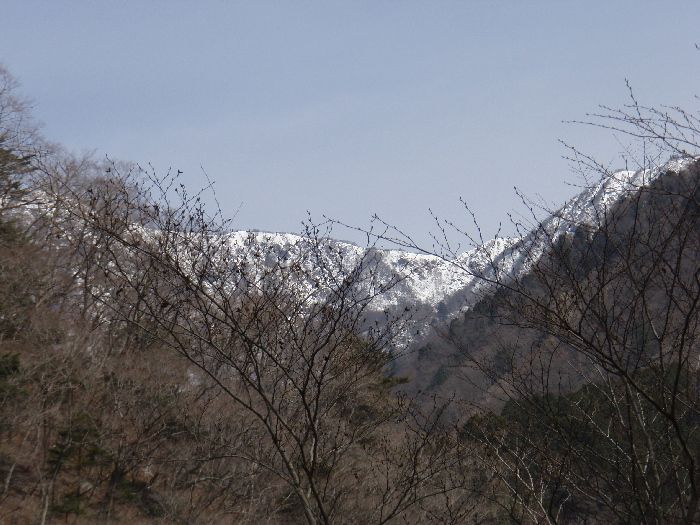 f0103126_2118145.jpg