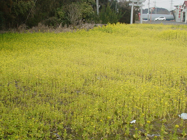 c0086230_21441167.jpg