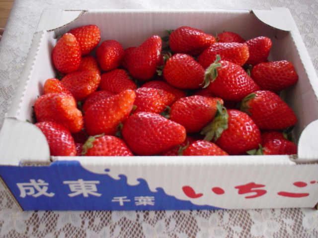 c0086230_21503244.jpg