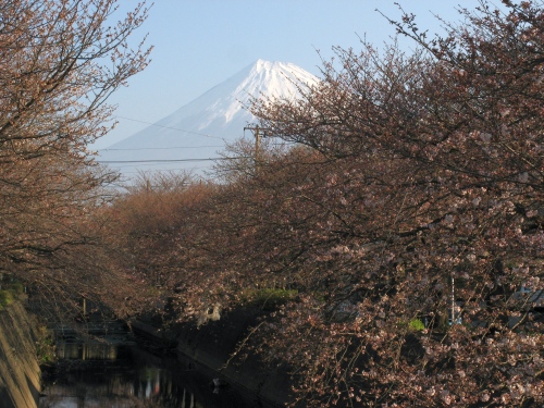c0151731_2322343.jpg