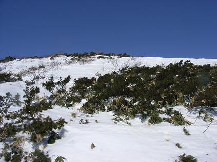 f0118332_22572920.jpg