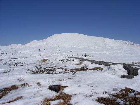 f0118332_2304970.jpg