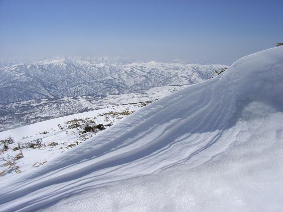 f0118332_2335744.jpg