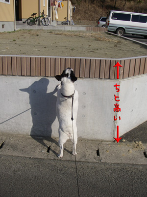 e0008833_19592153.jpg