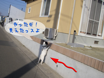 e0008833_200199.jpg