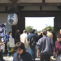 d0033734_11133486.jpg